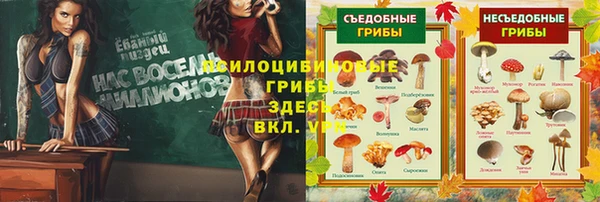 мефедрон Абаза
