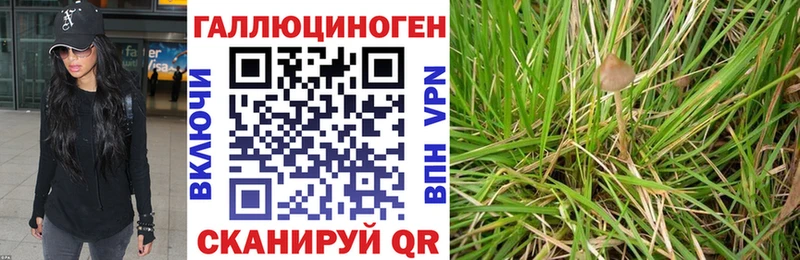 Галлюциногенные грибы мицелий  Ува 